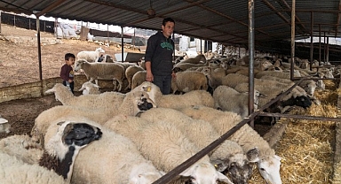 Yangın mağduru çiftçilere 225 ton yem desteği