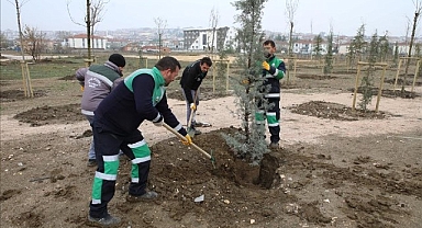167 Fidan Engelliler İçin Toprakla Buluştu