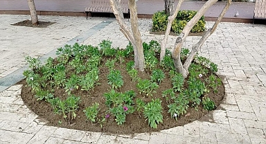 Büyükşehir'den Manisa'nın Yeşil Alanlarına Peyzaj Düzenlemesi