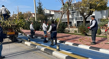 Büyükşehir Kent Genelinde Budama Çalışmalarına Devam Ediyor