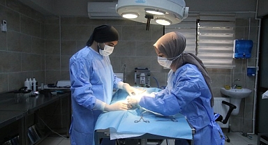 Büyükşehir patili dostlara sahip çıkıyor
