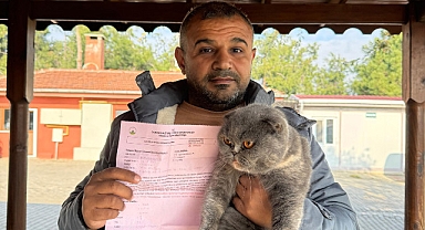 Can dostlar sıcak yuvalara kavuştu