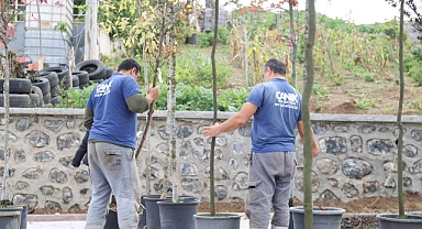 Canik'te 33 bin 668 Ağaç Kurtarıldı