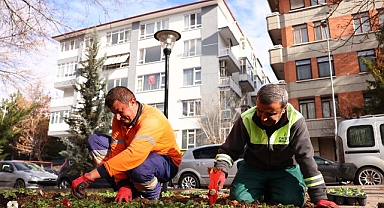 Çankaya parkları çiçek açıyor