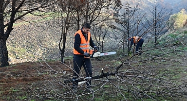 Çiğli Belediyesi Orman Yangınının İzlerini Silmek İçin Seferber Oldu