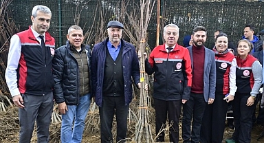 İzmirli Kestane Üreticilerine Kestane Gal Arısına Dayanıklı 2 bin 620 Fidan Dağıtıldı