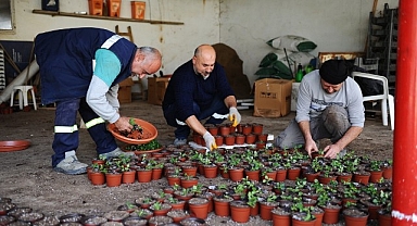 Karşıyaka Belediyesi’nin serasında binlerce çiçek yetişiyor