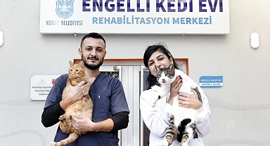 Konak’ın engelleri aşan Kedi Evi’nden sahiplenme çağrısı