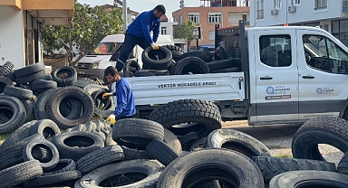 Sineklerin üreme alanı lastikler toplanıyor