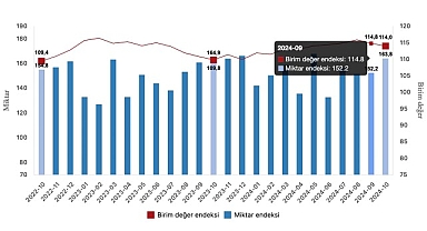 Tüik: İhracat birim değer endeksi %3,8 arttı