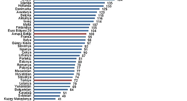 Tüik: SGP'ye göre kişi başına gayrisafi yurt içi hasıla endeks değeri 72 oldu