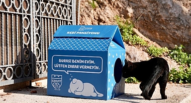 Çeşme Belediyesi’nden sokaktaki minik patilere sıcak bir yuva!