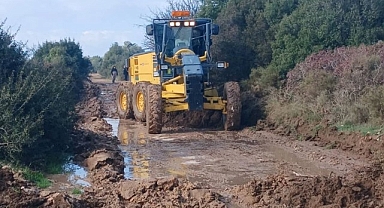 Didim belediyesi, üreticinin yanında olmaya devam ediyor