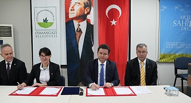 Sahiplenilen köpeklerin ilk aşısı ve muayenesi Osmangazi Belediyesi’nden