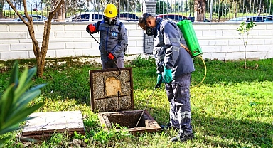 Vektörle mücadele kış aylarında da sürüyor