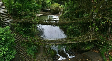 3 Bölümden Oluşan ‘Vahşi Hindistan’ 1 Mart Cumartesi Günü 20.00’de National Geographic WILD Ekranlarında Başlıyor!