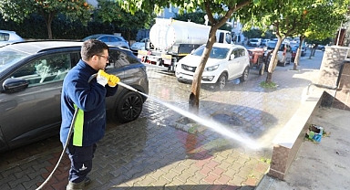 Efes Selçuk sokaklarında temizlik harekâtı
