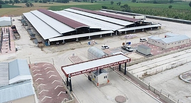İnegöl Hayvan Pazarı Bu Hafta Kurulacak