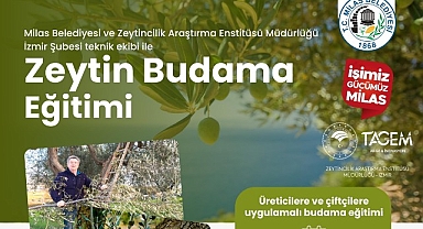 Milas Belediyesi Çiftçilere Uygulamalı Zeytin Budama Eğitimi Verecek