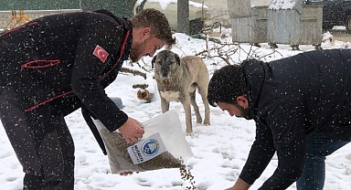 Mudanya Belediyesi’nden Kar Mesaisi: Yollar Açılıyor, Can Dostlar Unutulmuyor