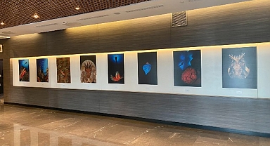“Okyanusların Mirası” Sualtı Fotoğraf Sergisi Memorial Sanat Galerisi’nde