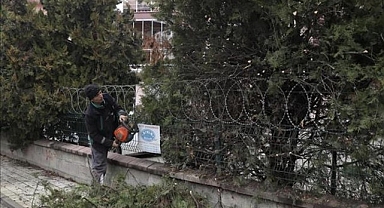 Şehir Genelinde Ağaç Budama Çalışmaları Sürüyor