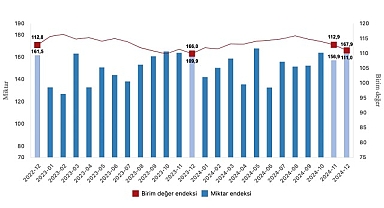 Tüik: İhracat birim değer endeksi %1,0 arttı