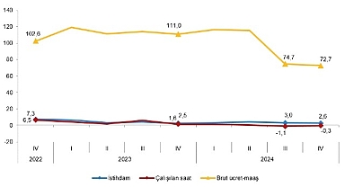 Tüik: İstihdam endeksi yıllık %2,6 arttı