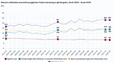 Tüik: Mevsim etkisinden arındırılmış işsizlik oranı %8,4 seviyesinde gerçekleşti