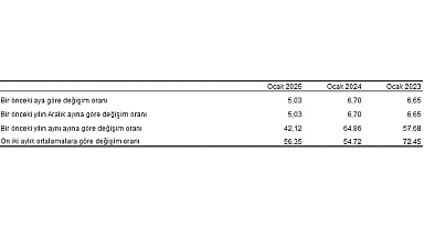 Tüik: Tüketici fiyat endeksi (TÜFE) yıllık %42,12, aylık %5,03 arttı