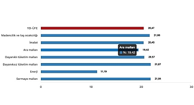 Tüik: Yurt Dışı Üretici Fiyat Endeksi (YD-ÜFE) yıllık %20,47 arttı, aylık %2,01 arttı