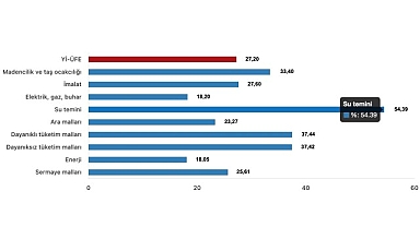 Tüik: Yurt İçi Üretici Fiyat Endeksi (Yİ-ÜFE) yıllık %27,20 arttı, aylık %3,06 arttı