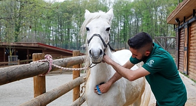 Bayramda doğanın kalbi Ormanya’da atacak