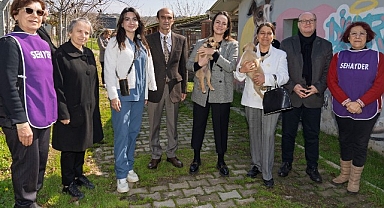 Bir patili dost edinmeye ne dersiniz?