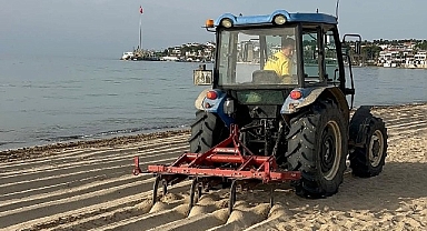 Didim sahilleri yaza hazırlanıyor