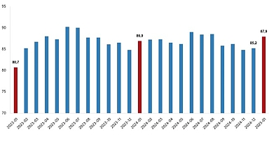 Dış Ticaret Endeksleri, Ocak 2025