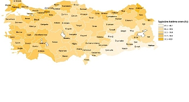 İşgücü İstatistikleri, 2024