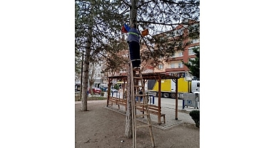 Kuşlara Yeni Yuvalar