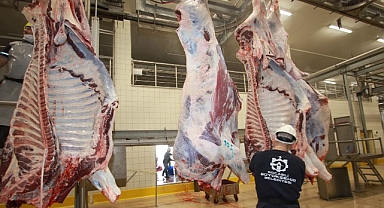 Sağlıklı ve güvenilir etin adresi Büyükşehir mezbahası