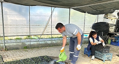 Seferihisar Belediyesi Tohum Takas Şenliği’ne hazırlanıyor