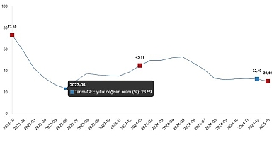 Tarımsal Girdi Fiyat Endeksi, Ocak 2025