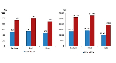 Tüik: Mevsimlik tarım işçilerinin ortalama günlük ücretleri 2024 yılında %84,2 arttı