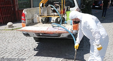 Zeytinburnu Belediyesi’nden Sivrisinek Sorununa Erken Müdahale