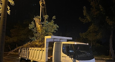 Aydın Büyükşehir Belediyesi’nden Şiddetli Yağış ve Fırtınaya Karşı Hızlı Müdahale