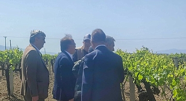 Büyükşehir'den Don Zararına Uğrayan Üreticilere Destek