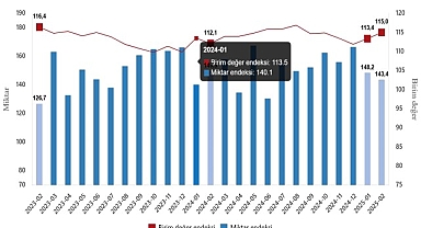 Dış Ticaret Endeksleri, Şubat 2025