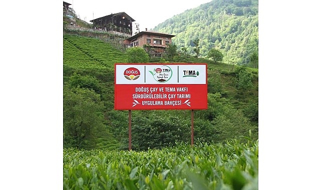 Doğuş Çay ve TEMA Vakfı'ndan sağlıklı topraklar ve sürdürülebilir çay tarımı için ortak adım