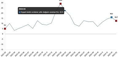 İnşaat Üretim Endeksi, Şubat 2025