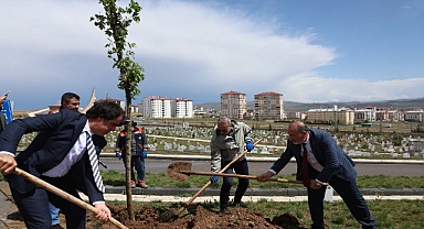 Minik Meleklerin Mezarlarında Anlamlı Düzenleme