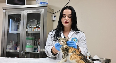 Minik Patiler Kliniği’nde Kısırlaştırılan Kedi Sayısı 3 Bini Geçti